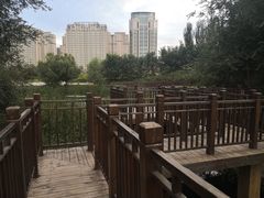 -群力丁香公园