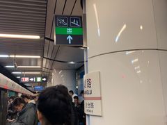 -大望路(地铁站)
