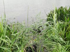 -昆山城市生态森林公园