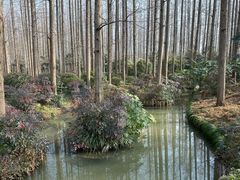 -上海怡沁园度假酒店