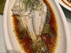-天福苑(崇宁路店)