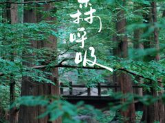 -国家植物园