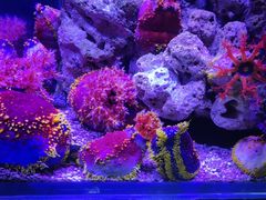 -太平洋海底世界