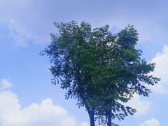 -湖南广电中心大楼
