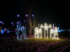 -琅岐红光湖公园