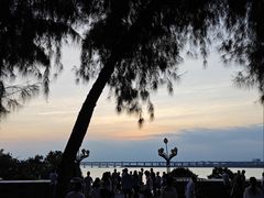 -宝安西湾红树林湿地公园