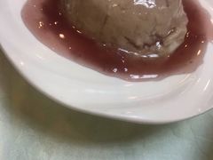 -丁老爷子苏香圆