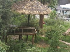 -云南野生动物园