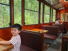 -合肥滨湖国家森林公园