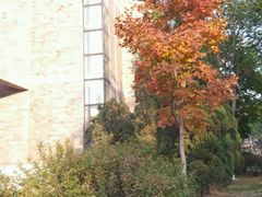 -辽宁大学(崇山校区)