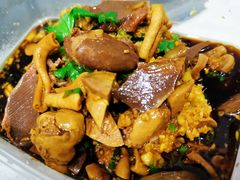 -九斤黄三黄鸡专卖店