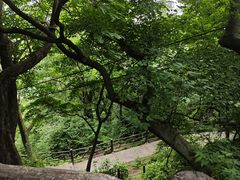 -终南山南五台景区