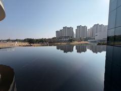 -洋湖国家湿地公园