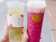 -树夏(鹭洲里店)