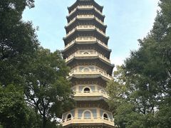 -灵谷景区