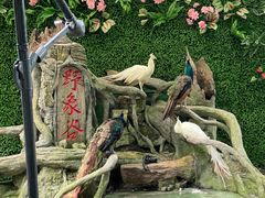 -野象谷景区