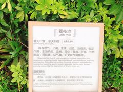 -凤翔首邑温泉度假村