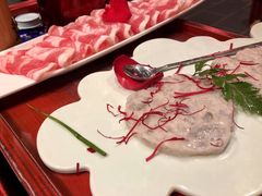 -袁老四重庆老火锅(桐梓坡店)