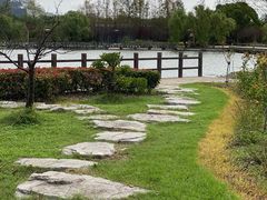 -上海鲜花港