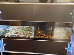 -灵龟之家百象馆(百象馆联合旗舰店)