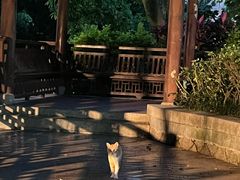 -乌山风景区