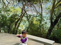 -羚羊峡古栈道森林公园