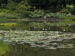 -云溪植物园