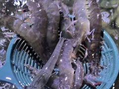 -聚盛源蒸汽海鲜火锅烤肉自助(巨川金海岸购物广场店)