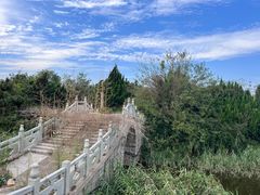-日照海滨国家森林公园