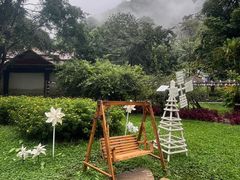 -莫里热带雨林景区