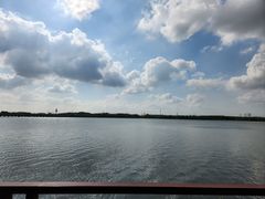 -南湖湿地公园