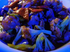 -新悦·霞浦海鲜生(上下杭店)