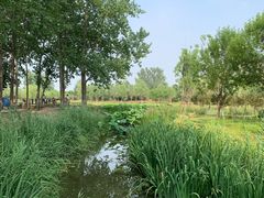 -东郊湿地公园