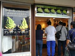 -鎌倉茶々(本店)
