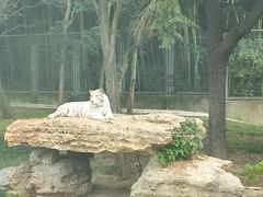 -上海野生动物园