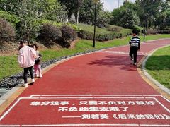 -九龙湖公园