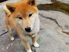 -双龙峡