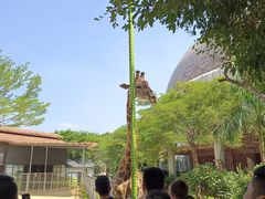 -灵玲国际马戏城
