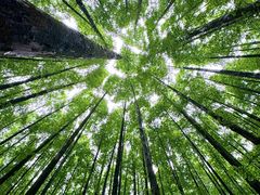 -山王坪喀斯特国家生态公园