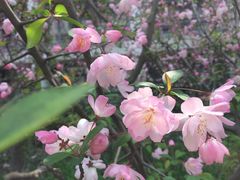 -东华大学(松江校区)