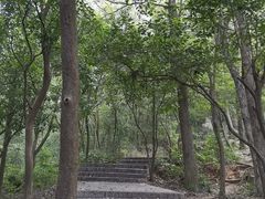 -紫金山天文台