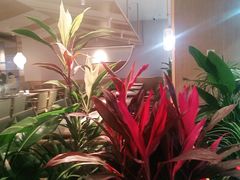 -皖香览约·徽菜(吴江吾悦店)