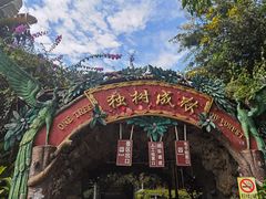 -瑞丽独树成林风景区