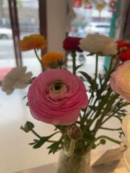 -Dr.林醫生产后修复·配方产康店(南京大厂店)