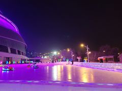 -沈阳奥体冰雪嘉年华
