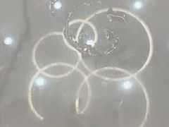 -顺徕德·仙庙烧鸡(桂庙路店)