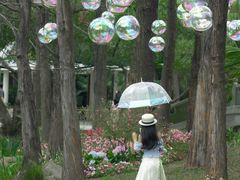 -人民公园(罗湖区)