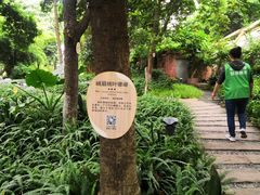-成都市活水公园