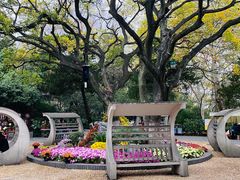 -菊花台公园