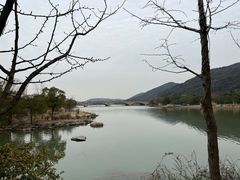-长广溪湿地公园